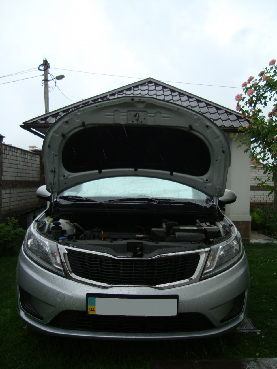 14.KIA RIO III (NEW 2012); Chip tuning консерви ST1 Paulus від Blistograd 1