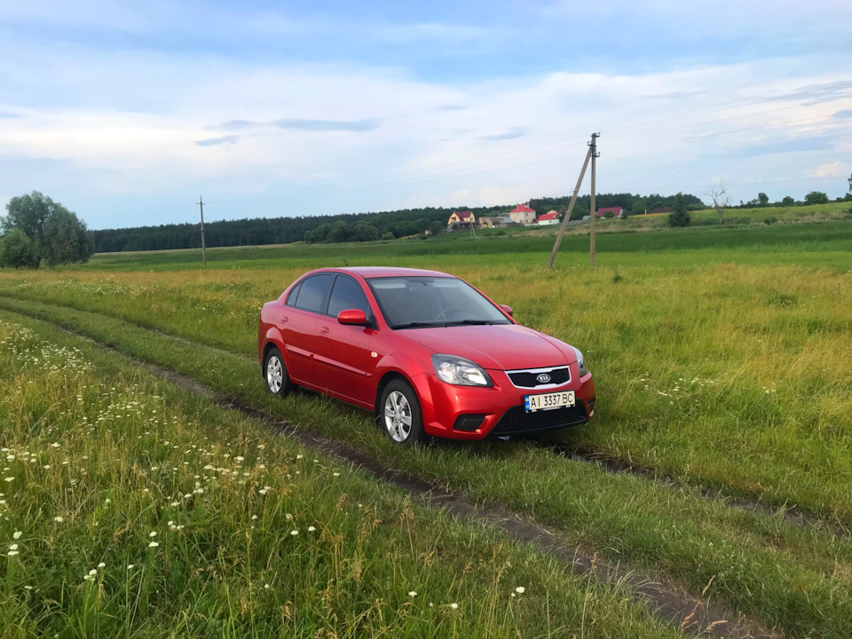 Rio у полі 1