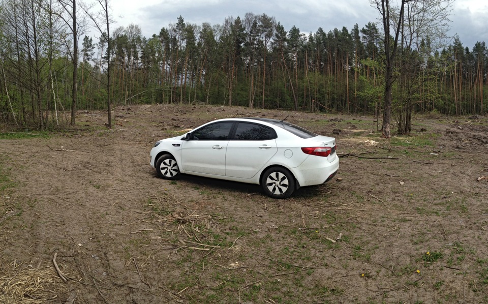 forest 3