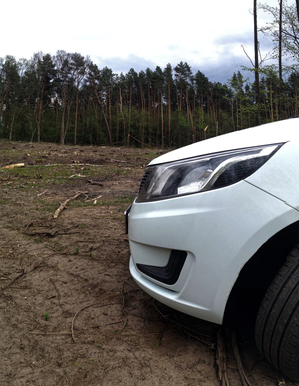 forest 2