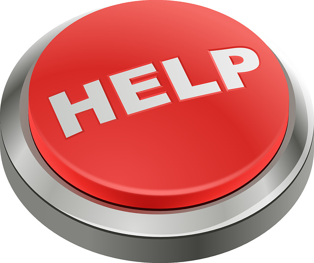#30. HELP ! SOS ! 1