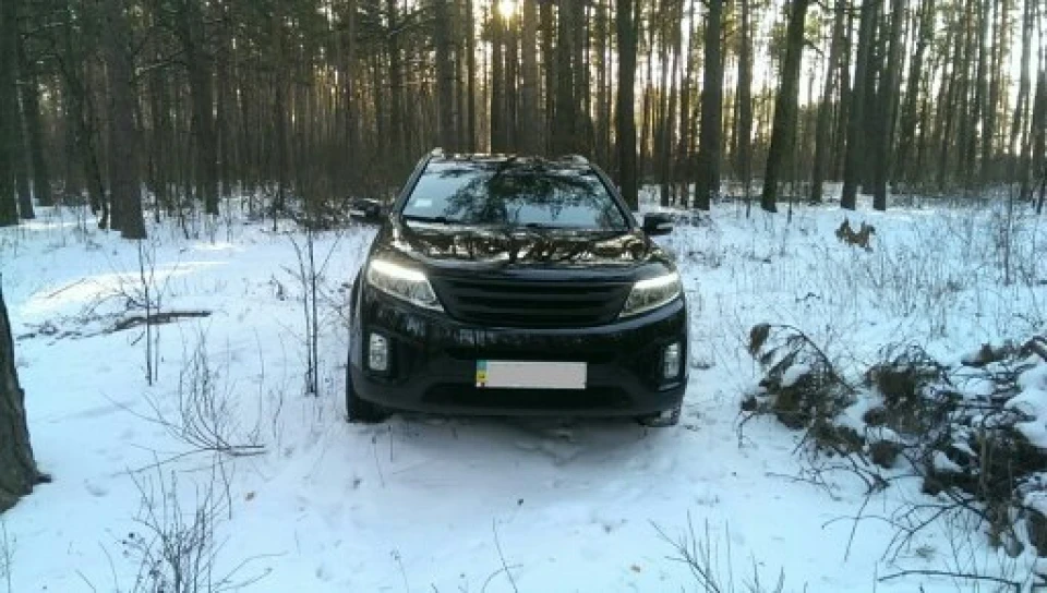 Лісова фотосесія