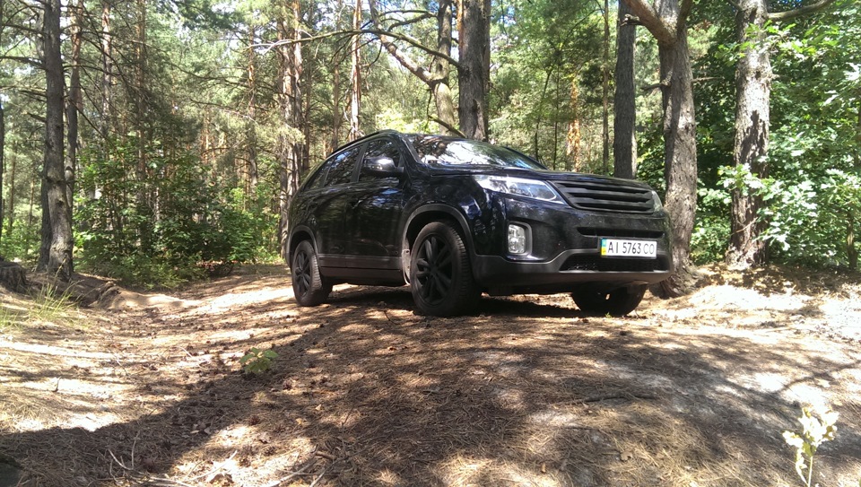Лісовий 1