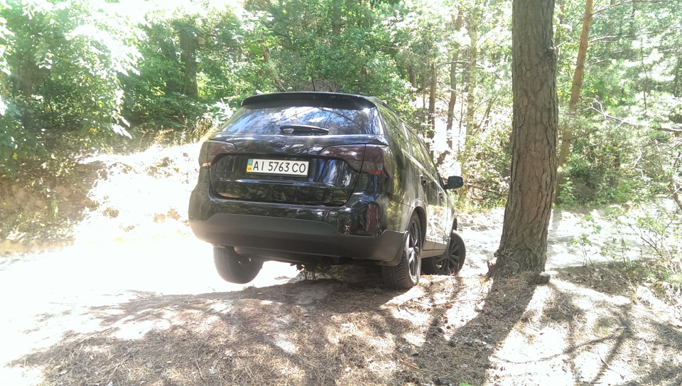 Лісовий 4