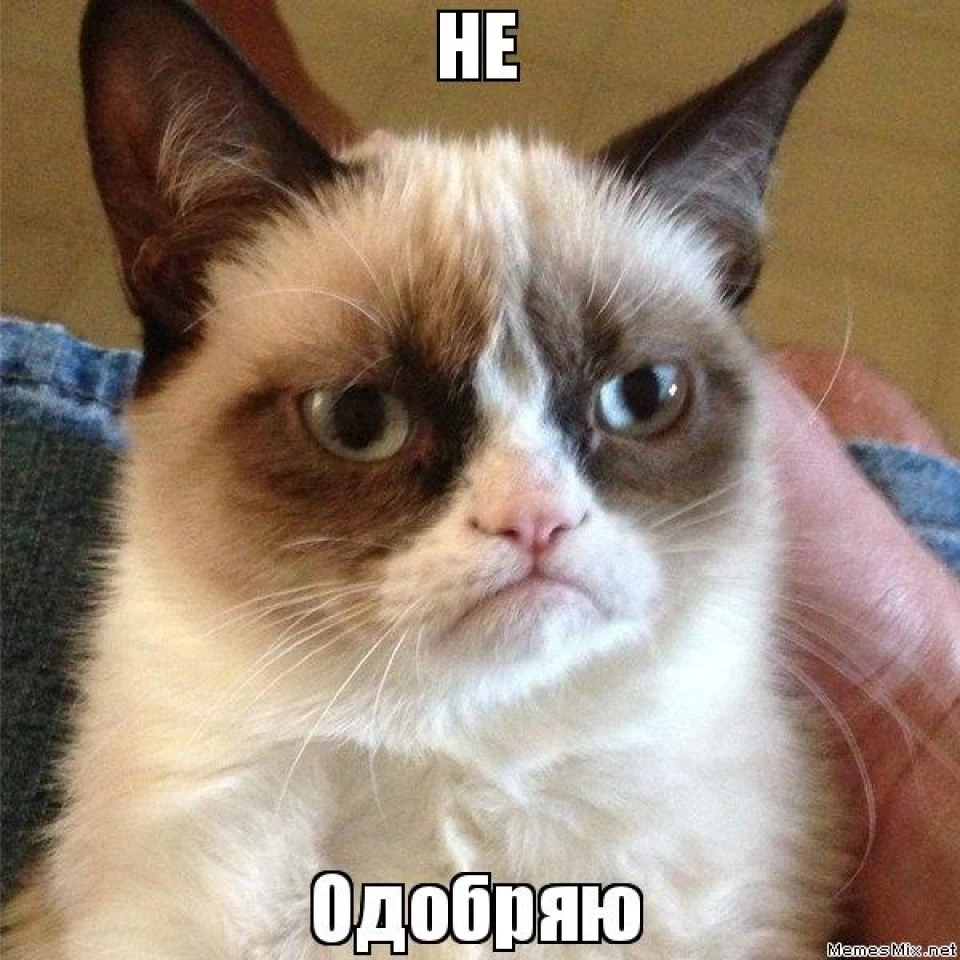 Про Motul