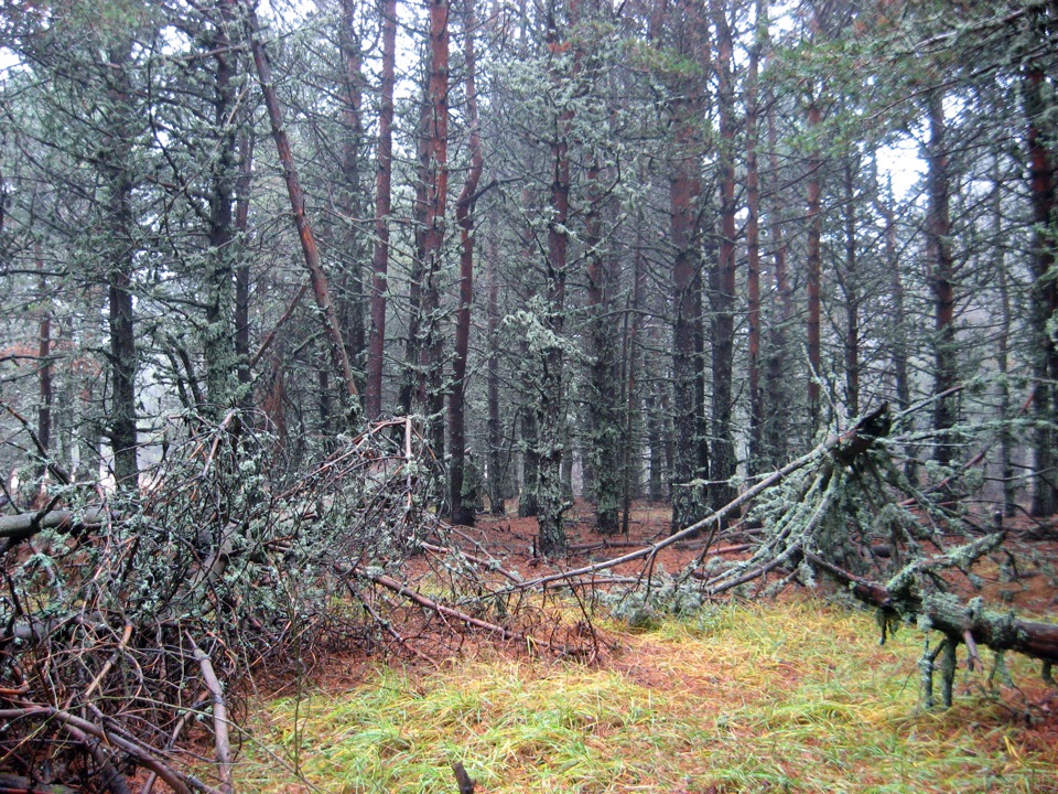 Осінній Крим (2) 5
