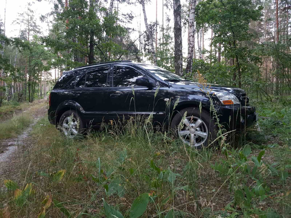 ПРОДАНО Sorento 3