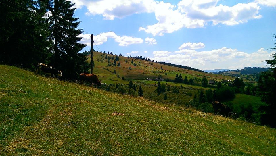 поїздка в гори 1