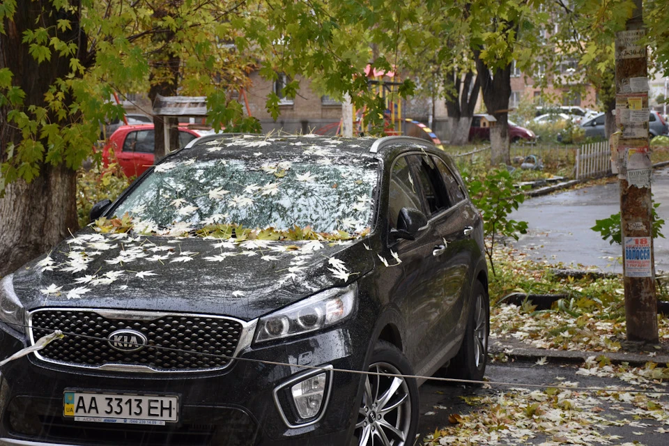 Не розслабляйся...