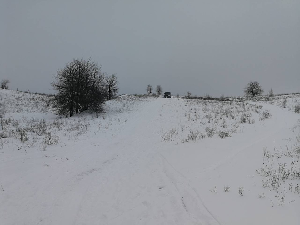 Покотушки 3