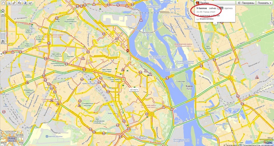 Київ 22.03.2013 або — як до нас прийшло велике хутрове звірятко. 5
