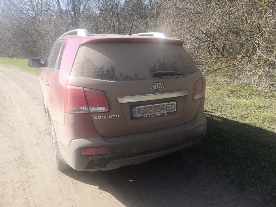 Квітка в пилу 3