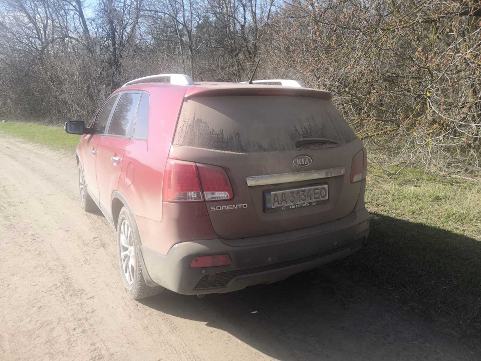 Квітка в пилу 4