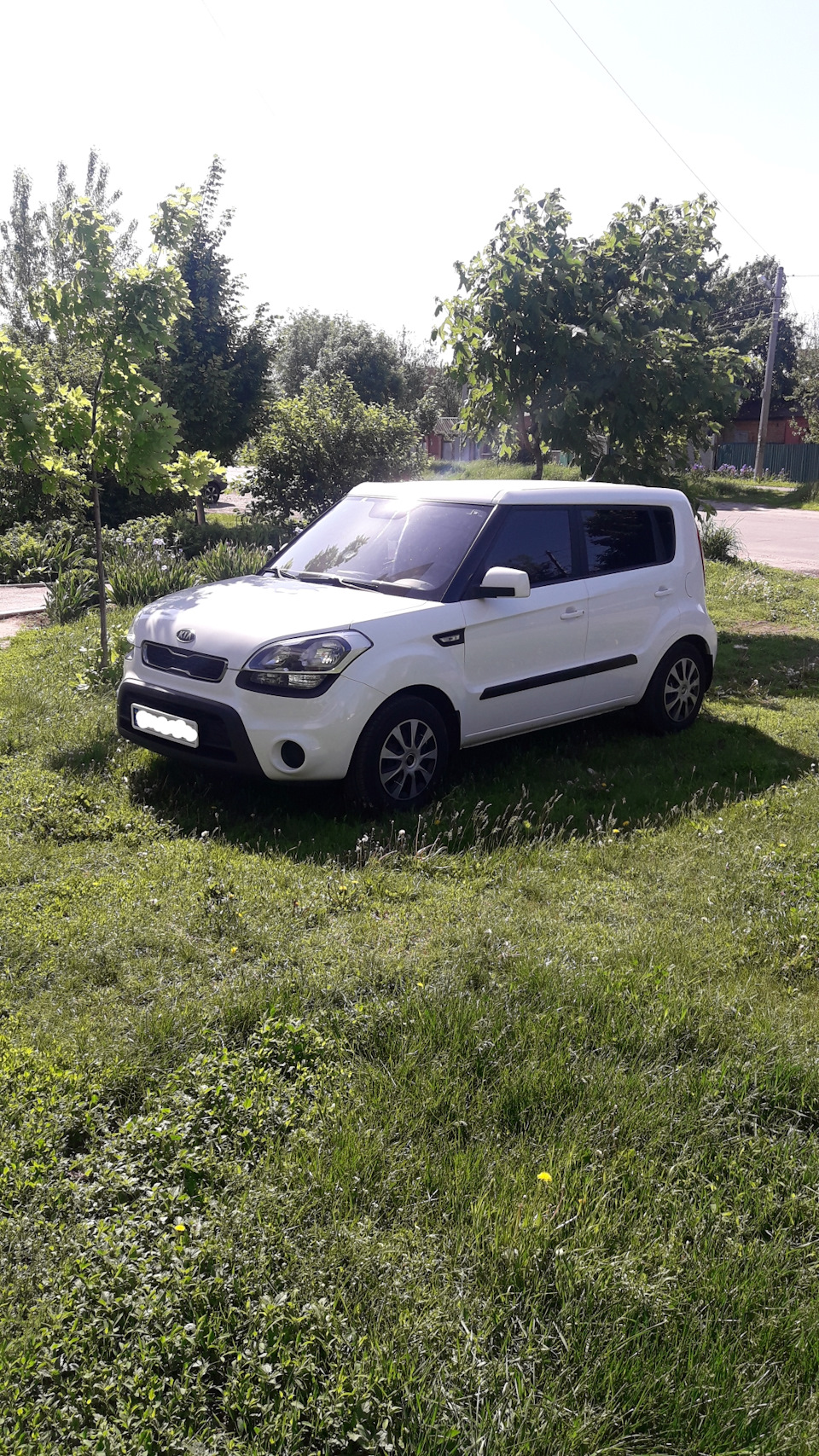 Тонування. 1