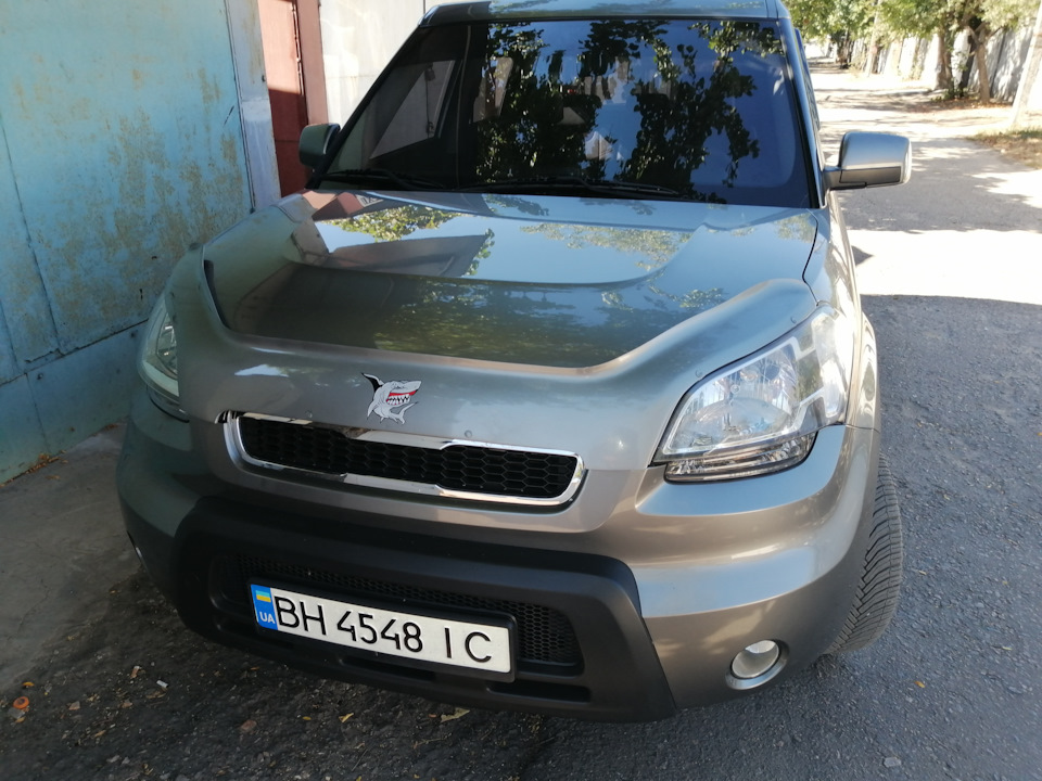 Мухабійка в колір та спойлер 2