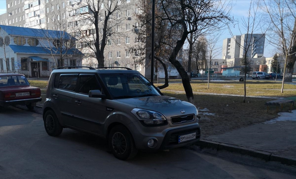 Останнє фото вірного друга… 2