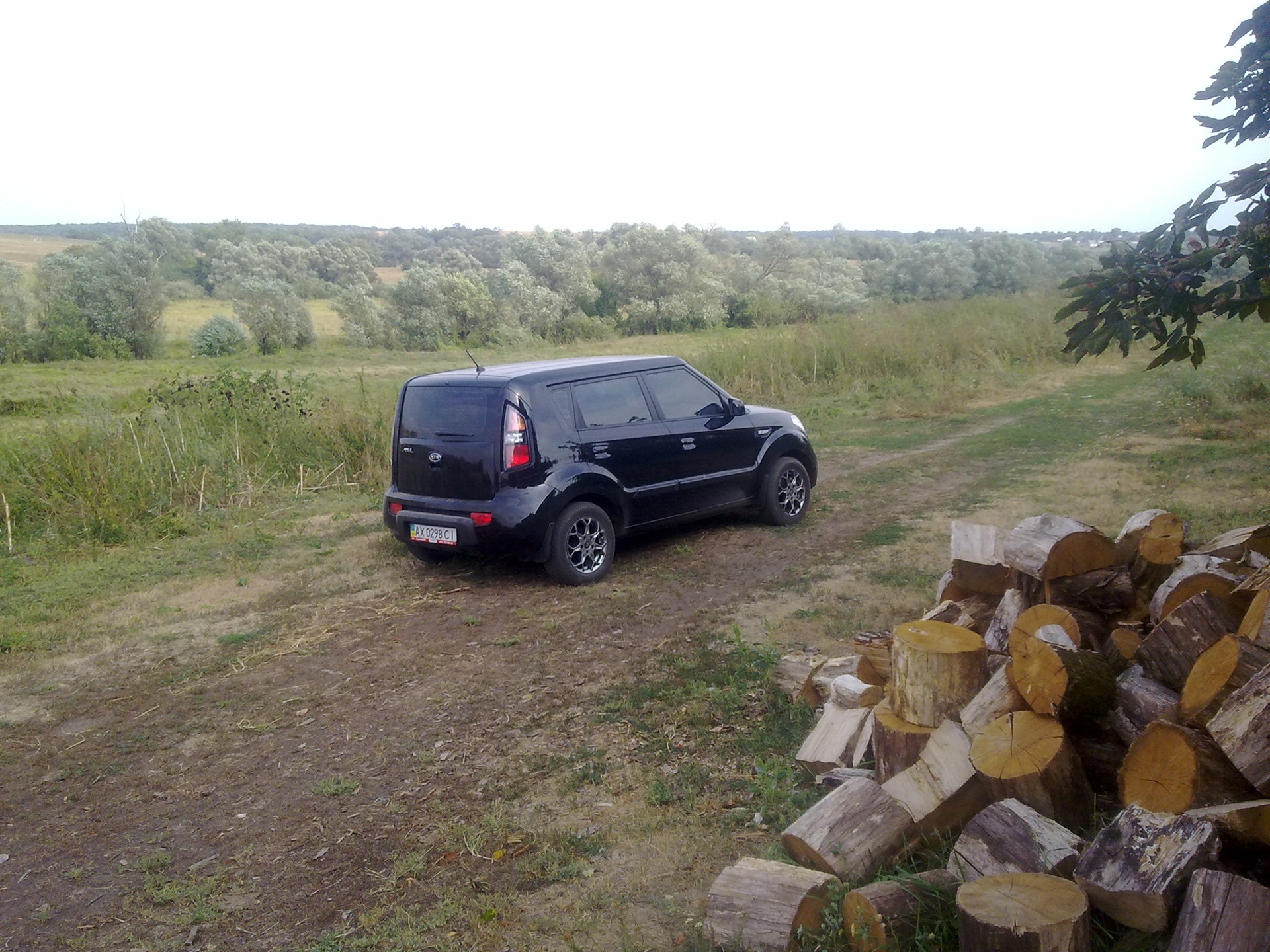 Просто фотки улюбленого бульдожка!=) 1