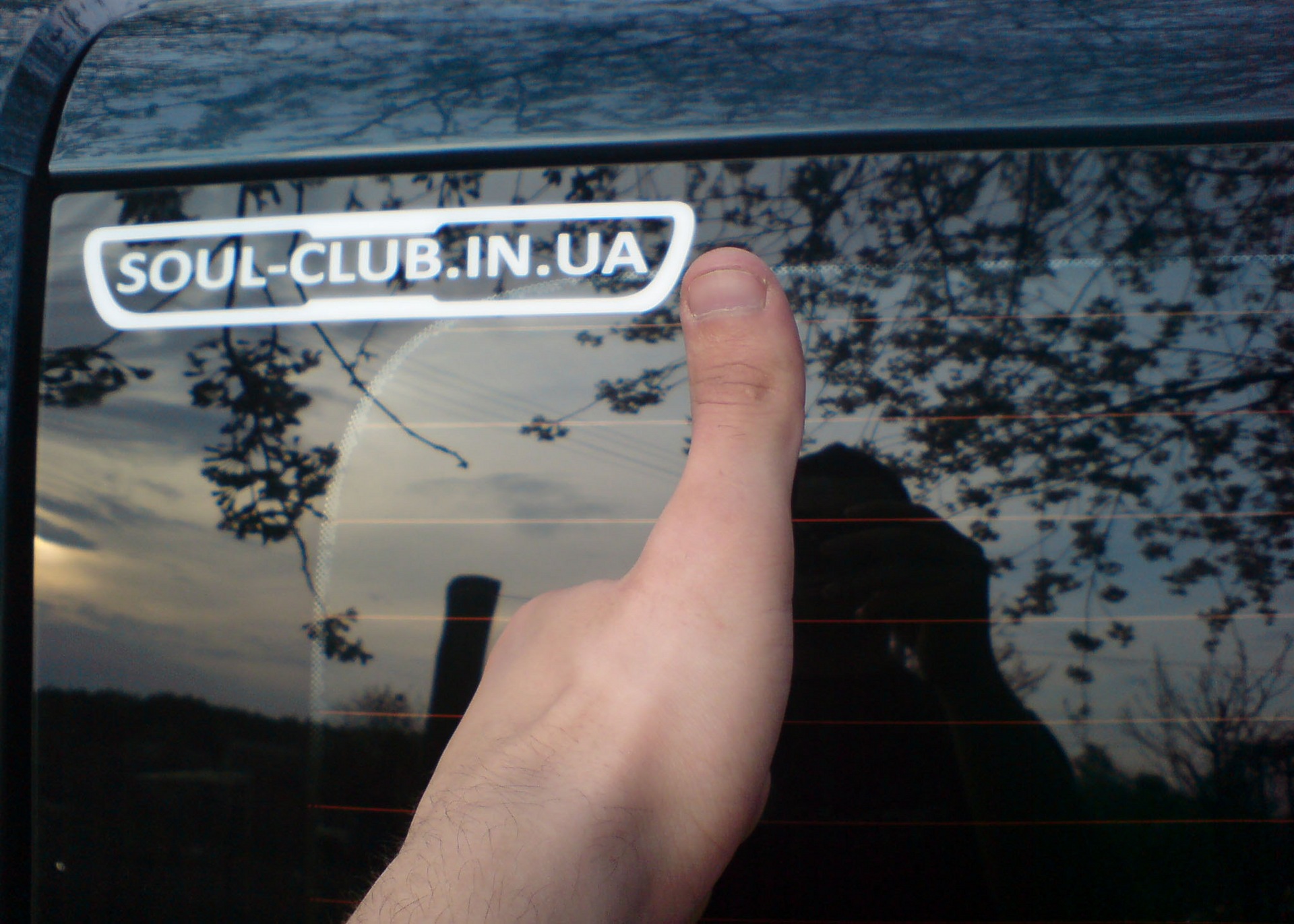 Міні фотосет у себе на дачі =) 5