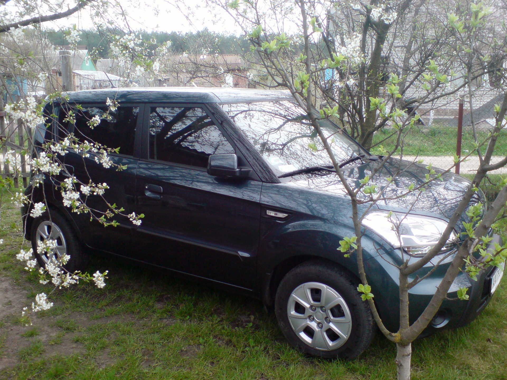Міні фотосет у себе на дачі =) 3