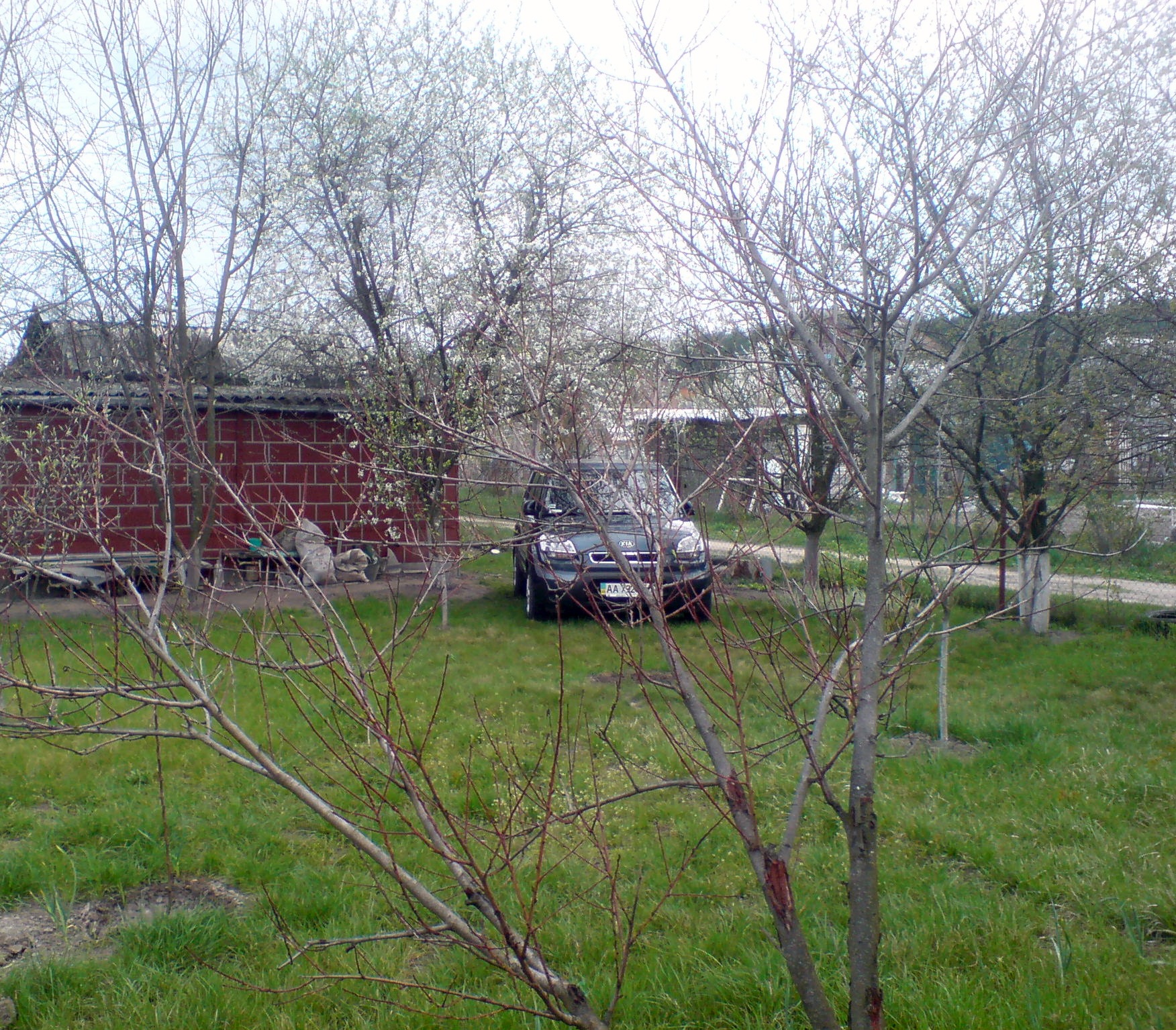 Міні фотосет у себе на дачі =) 1