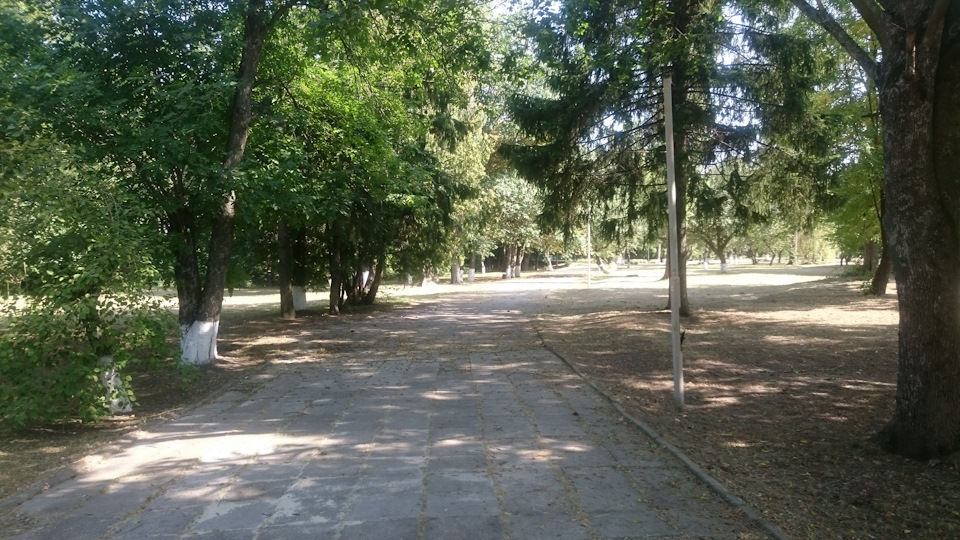 Поїздка до Сковородинівки, глюк стартера. 1