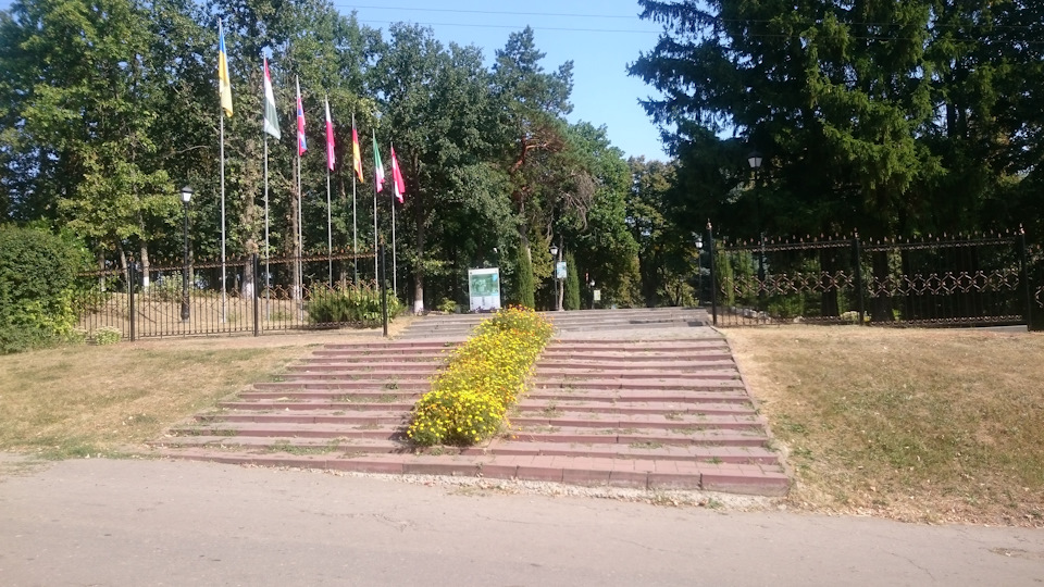 Поїздка до Сковородинівки, глюк стартера. 5