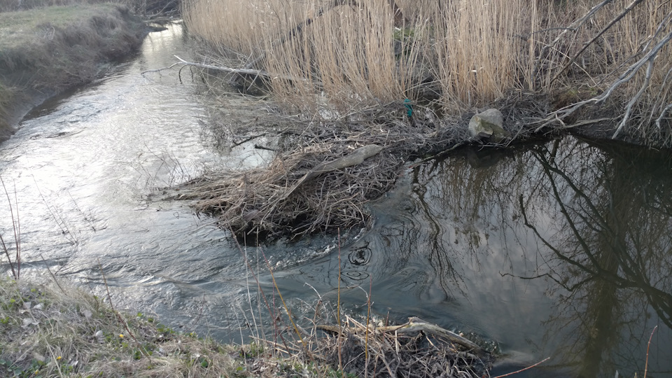 Покотушка вихідного дня 30км по лісах 4