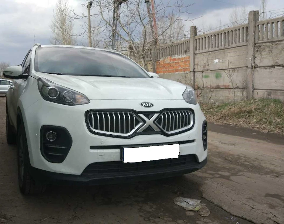 Рішітка радіатора + камера переднього виду