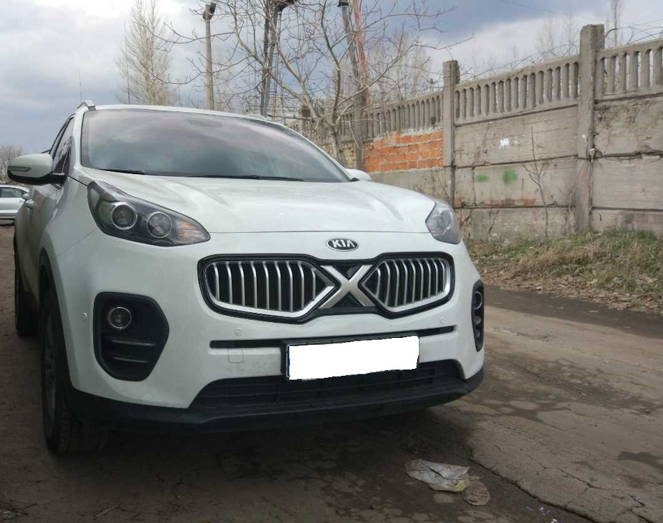 Рішітка радіатора + камера переднього виду 1
