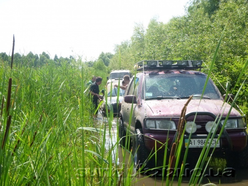 Ручні хаби Аміса 5