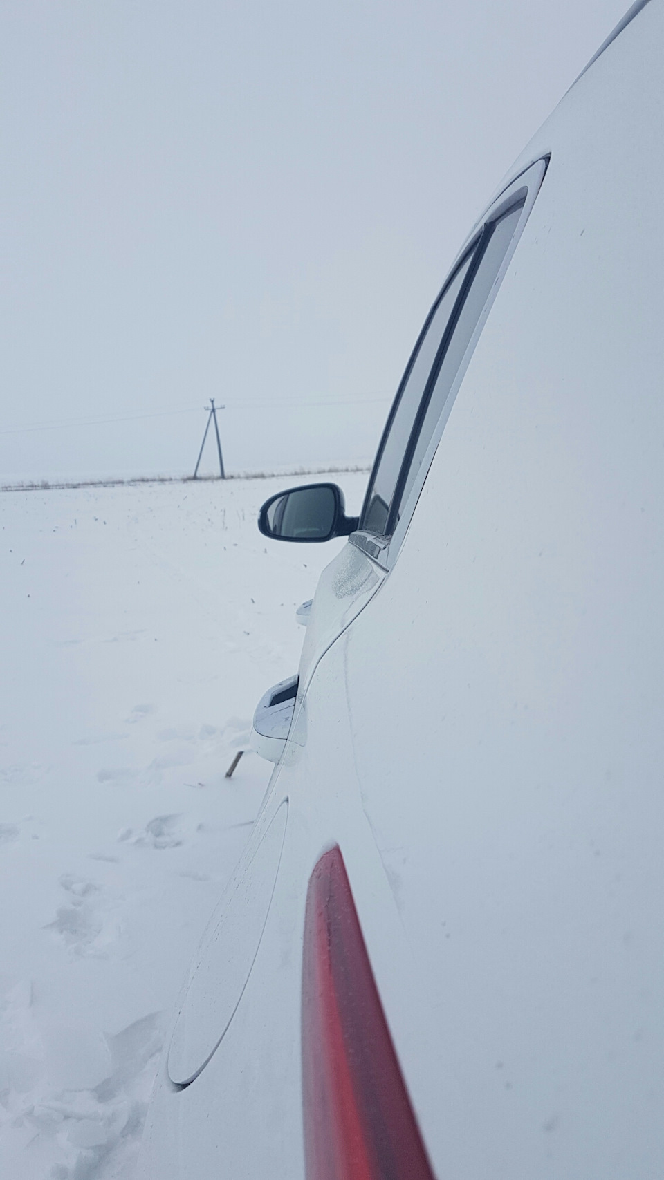 Покотушки по полях у пошуках сірого вухатого. Штурм гірки. 3