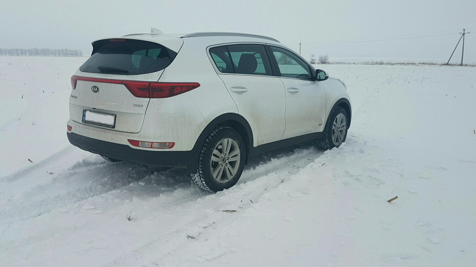 Покотушки по полях у пошуках сірого вухатого. Штурм гірки. 2