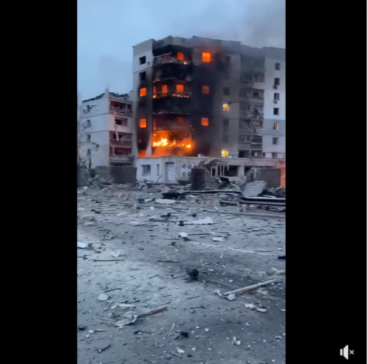 Органайзер багажника. 1