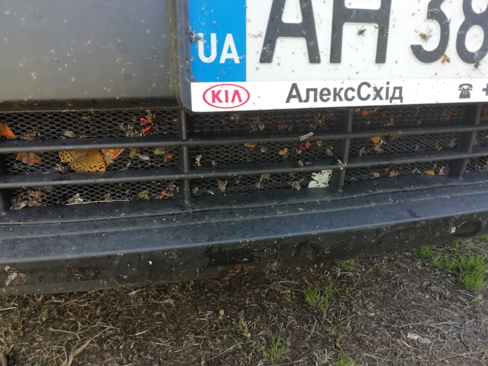 Спостереження 4