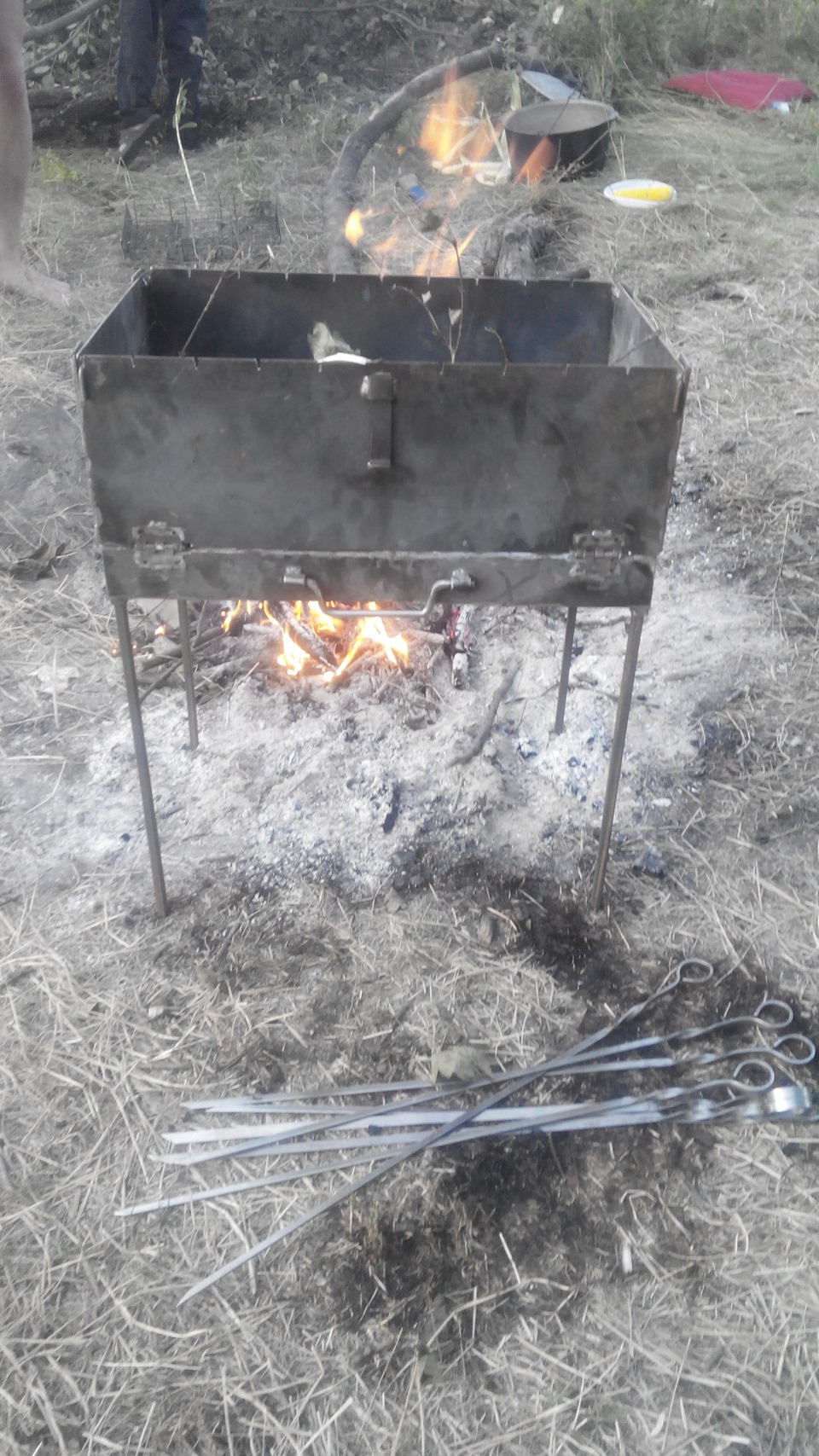 Кожної п'ятниці я в гав.але 5