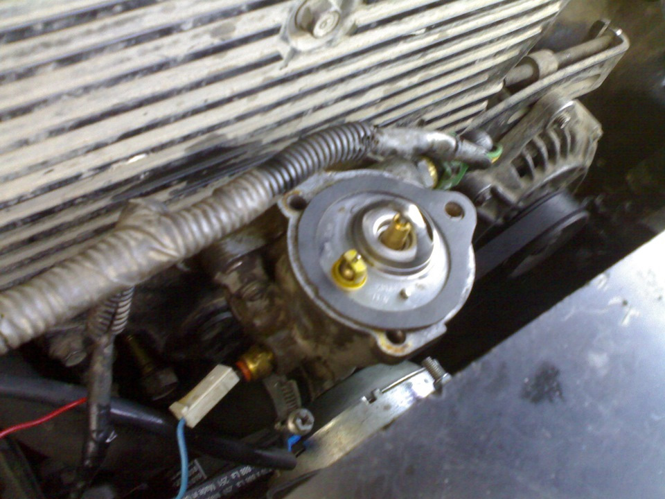 Термостат 1
