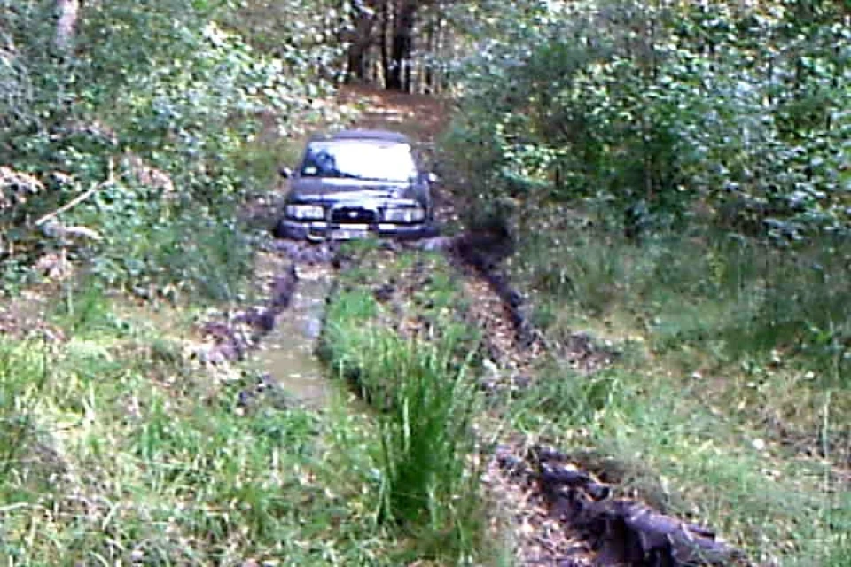 Запис, 28 вересня 2010