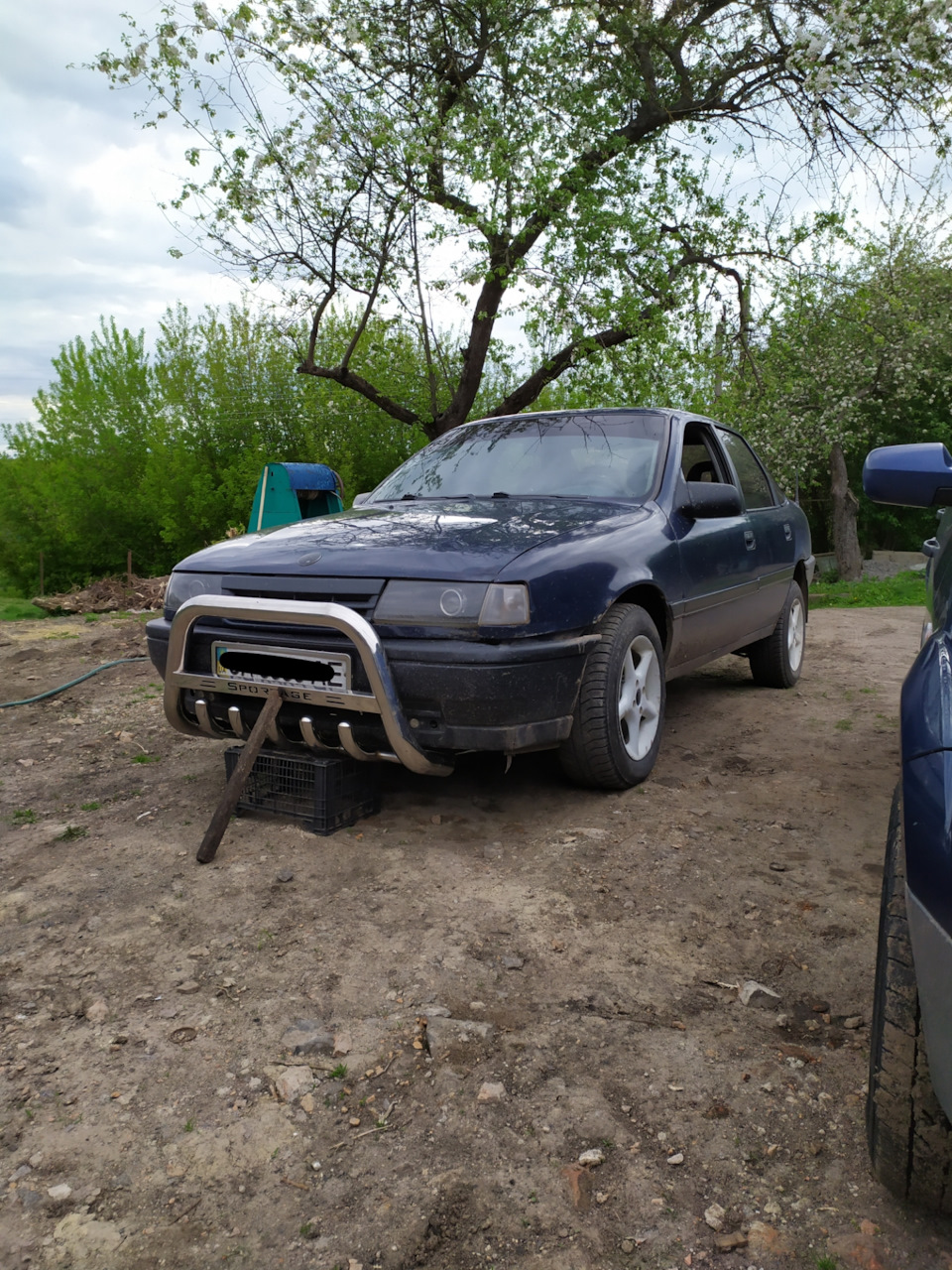 Кенгурятник 3