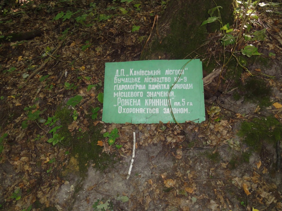 Народжена криниця 2
