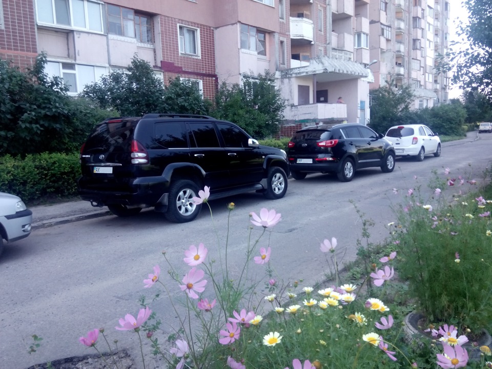 Пофоткав своїх брюнеточок 1