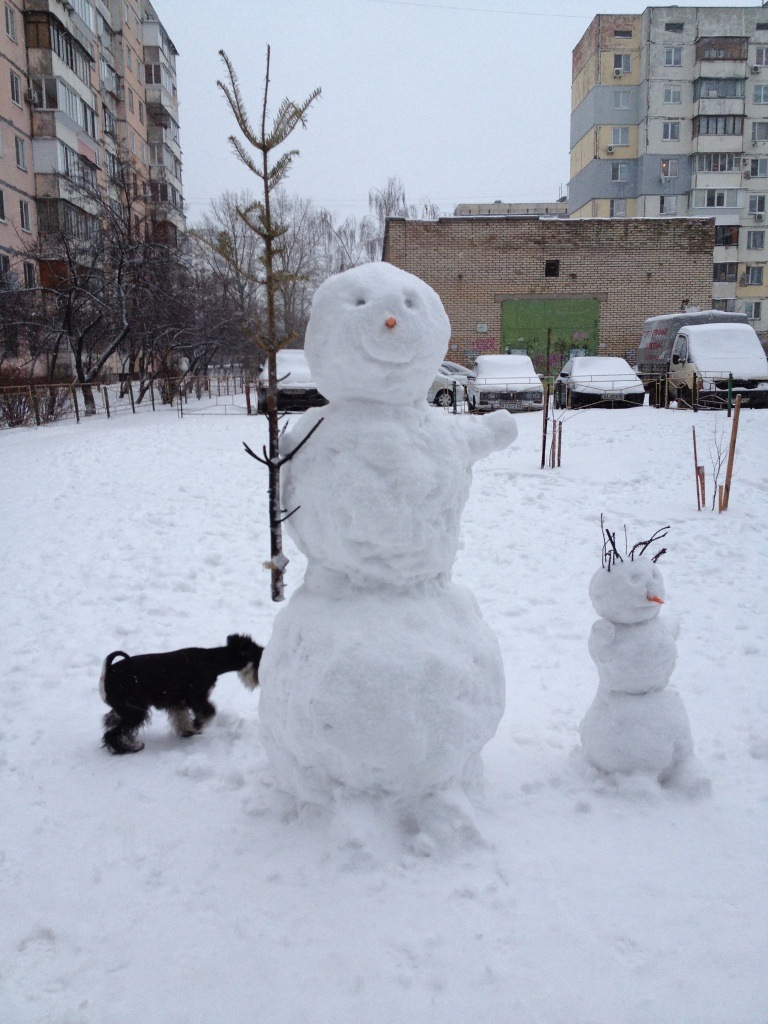 Прокол 4