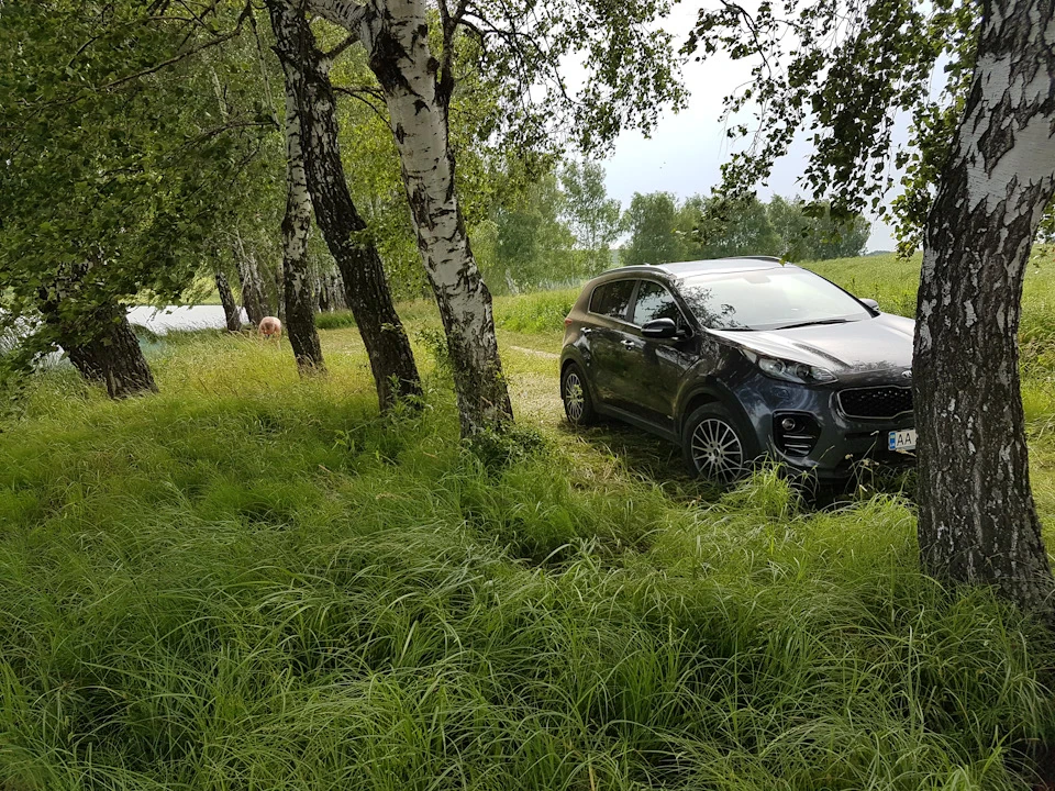 Покотушки і витрата