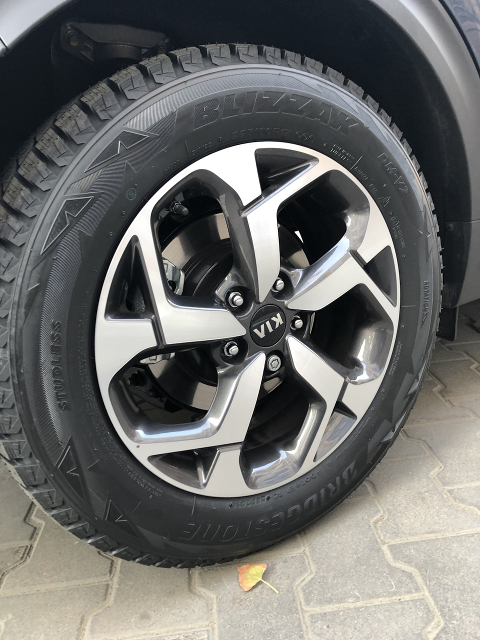 Залік гумі Bridgestone Blizzak DM-V2 1