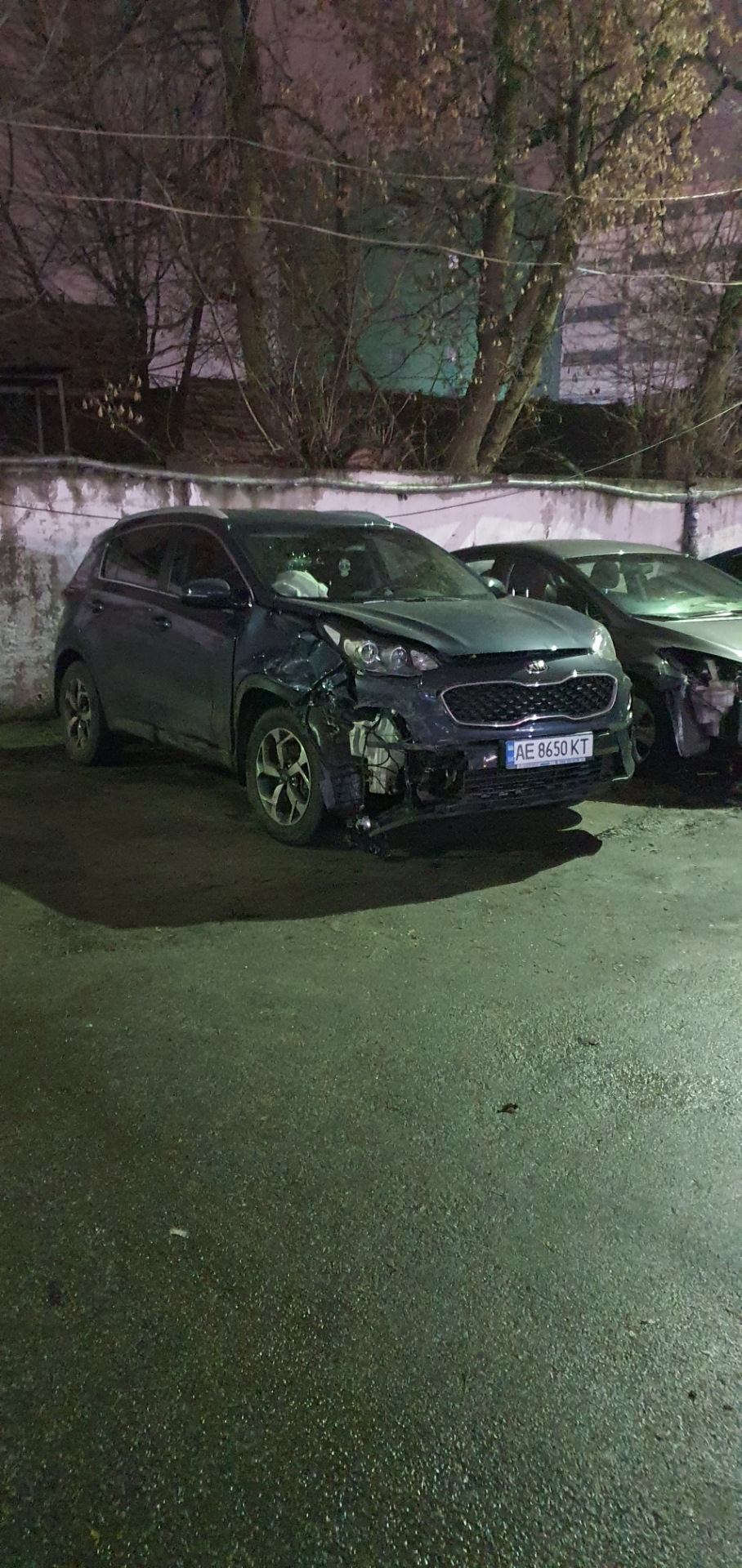 Олені в різдво 4