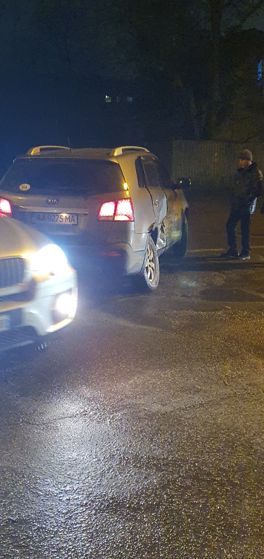 Олені в різдво 3