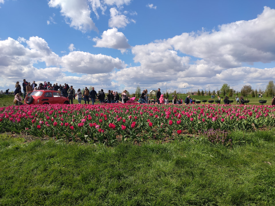 Добропарк, чому там не треба бути 9го травня. Явна проблема зі зчепленням 5