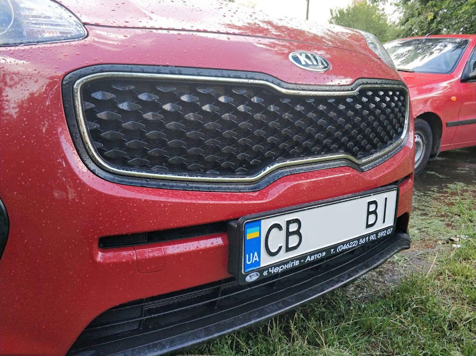 TO-1. Сітка в бампер. 1