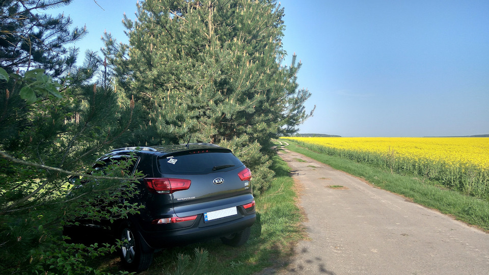 Фото з останньої поїздки 5