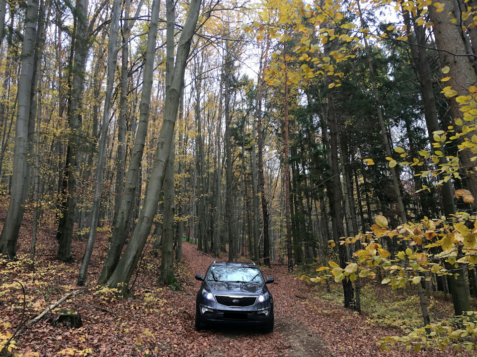 Осінь йде, але я її наздогнав :) 3