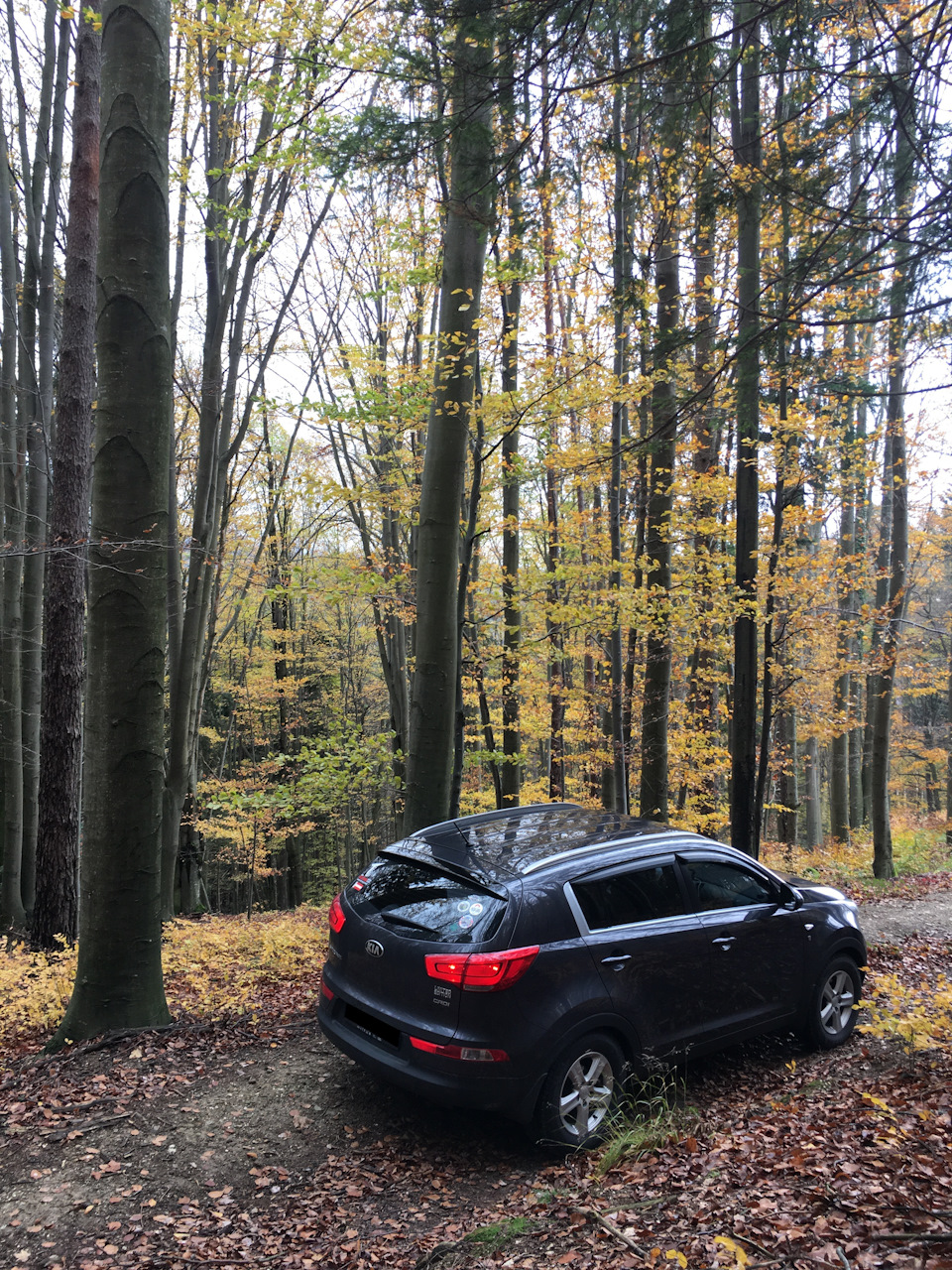 Осінь йде, але я її наздогнав :) 4